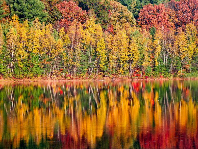 Fall Foliage Trips