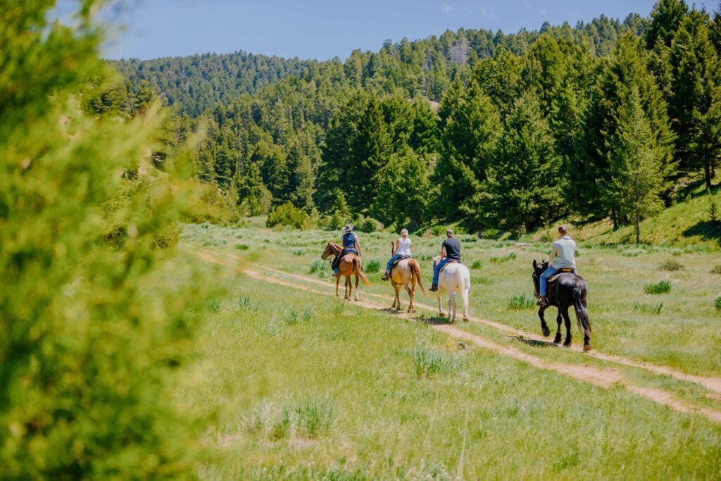 Horseback Riding