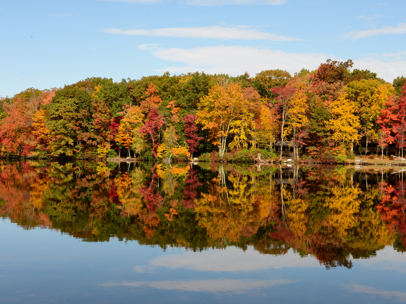 The Poconos on Fall Foliage Trips