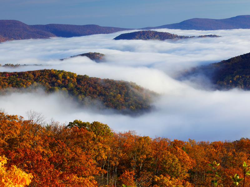 Shenandoah National Park