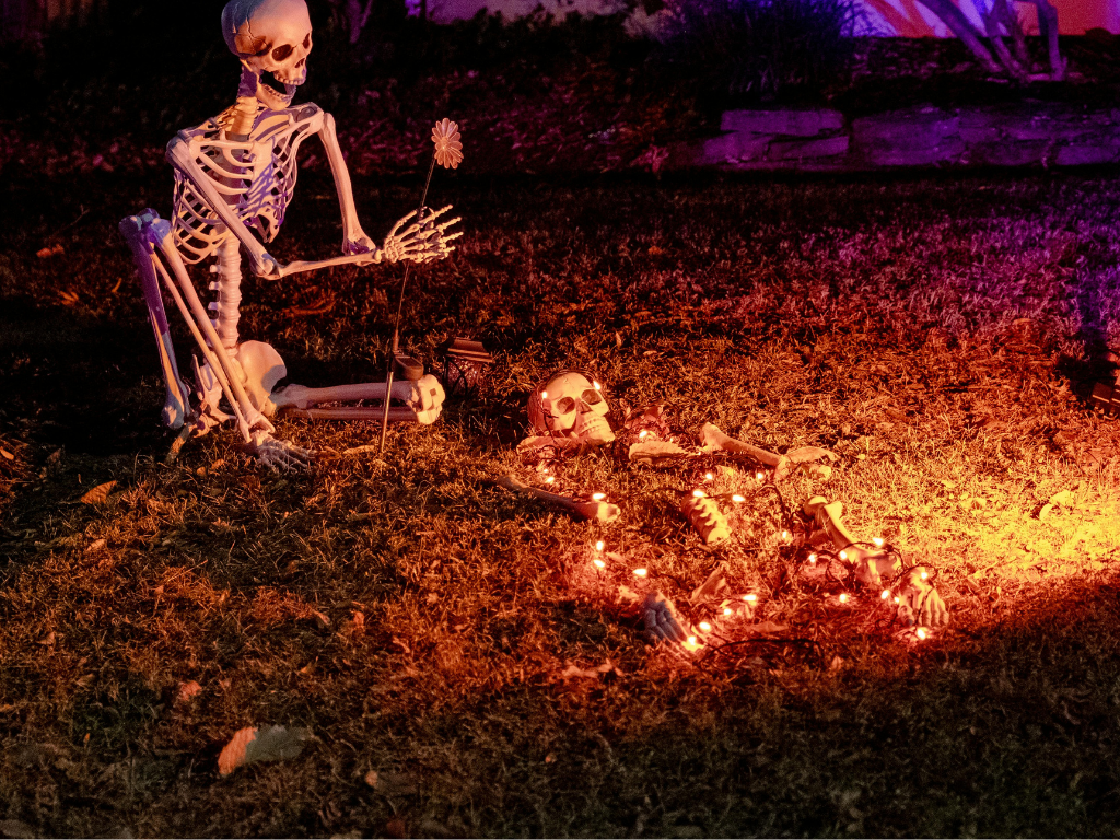 skeleton decor